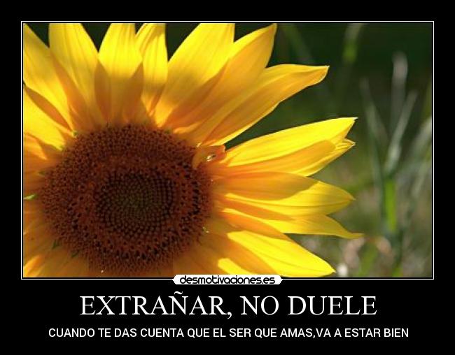 EXTRAÑAR, NO DUELE - 