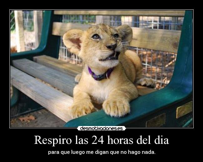 carteles rogertuba sigo apoyando anonymous pero sin mascaras walt tiene enchufes lelelelelleee desmotivaciones