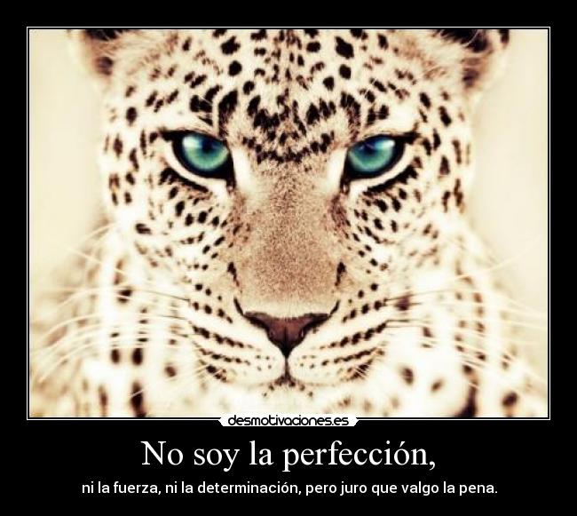 No soy la perfección, - ni la fuerza, ni la determinación, pero juro que valgo la pena.