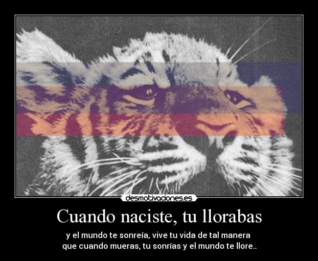 carteles rogertuba con anonymous intruders esperando que waltk ads den principal desmotivaciones