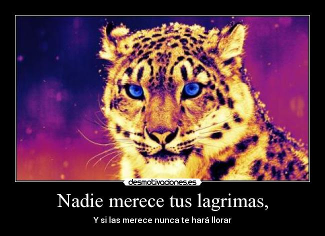 Nadie merece tus lagrimas, -