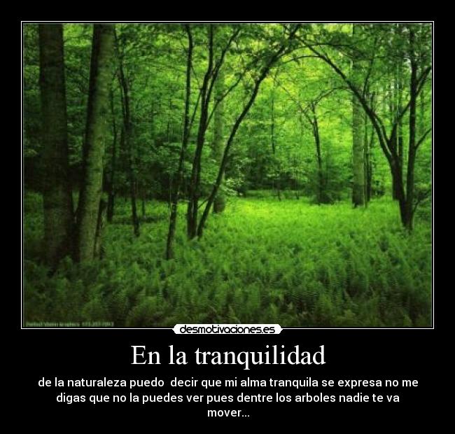 En la tranquilidad - de la naturaleza puedo decir que mi alma tranquila se expresa no me
digas que no la puedes ver pues dentre los arboles nadie te va
mover...