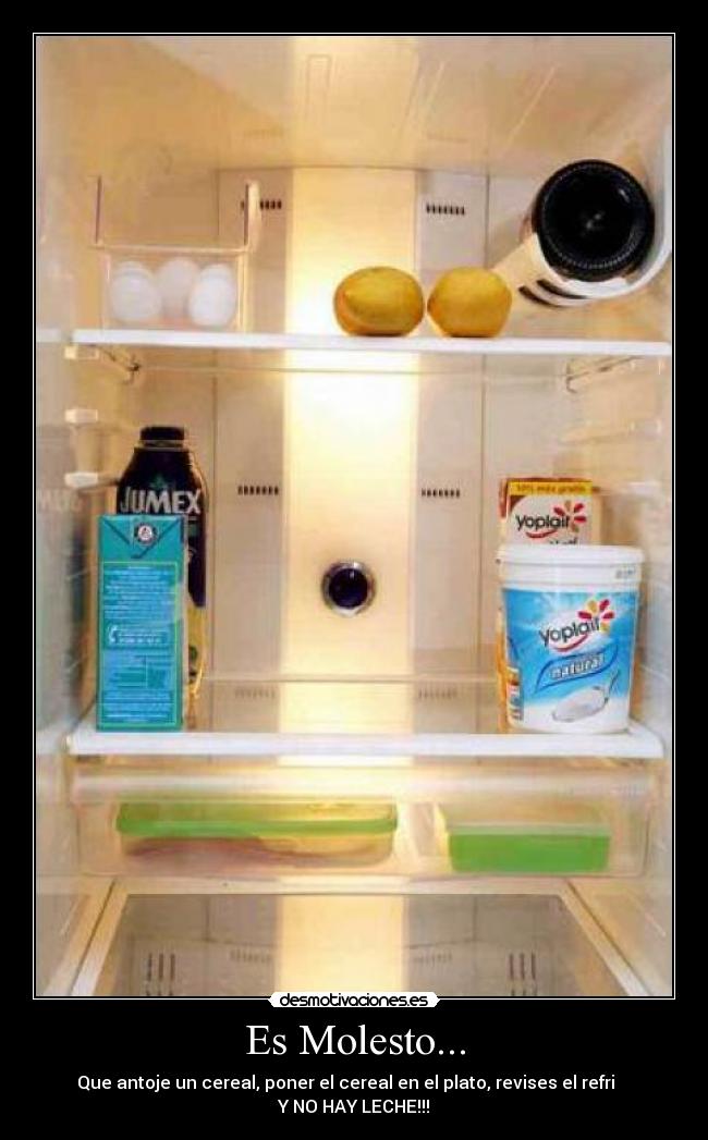 Es Molesto... - Que antoje un cereal, poner el cereal en el plato, revises el refri    
Y NO HAY LECHE!!!