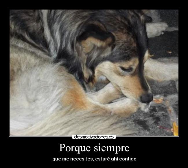 carteles amistad desmotivaciones