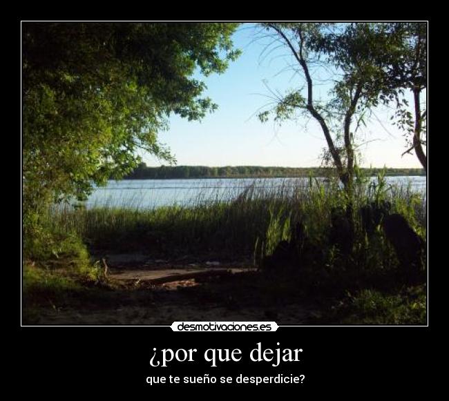 ¿por que dejar - que te sueño se desperdicie?