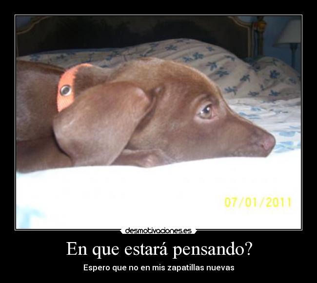 En que estará pensando? - 