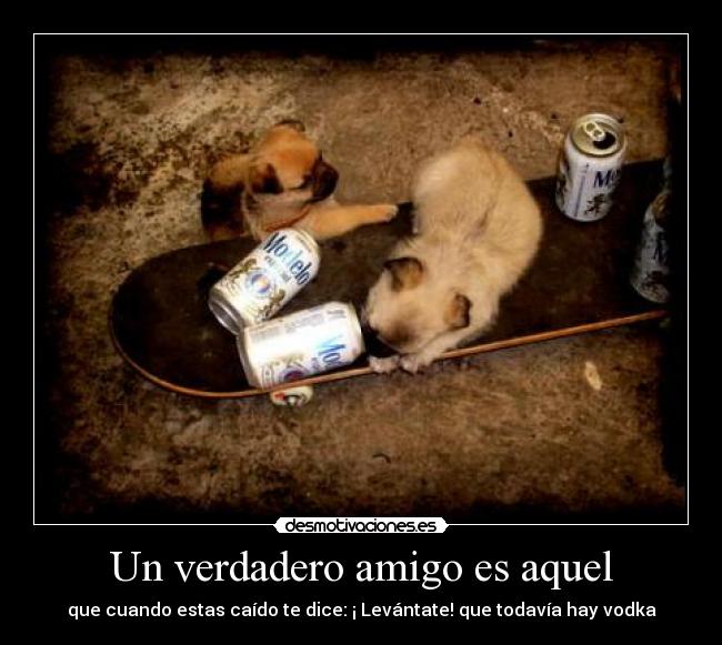 carteles hahaha ame los perros desmotivaciones