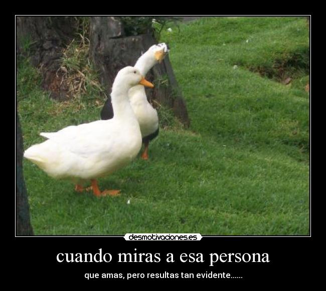 cuando miras a esa persona - 