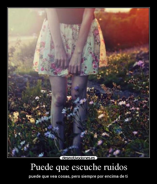 Puede que escuche ruidos - 