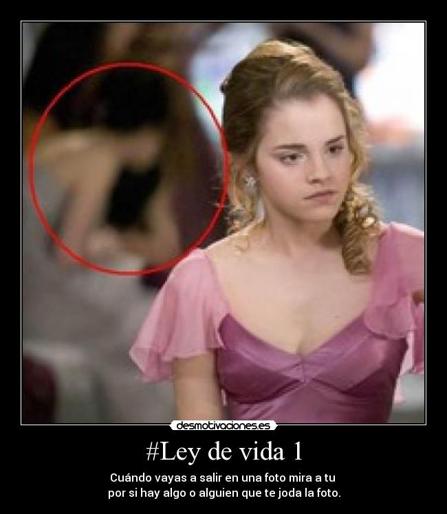 #Ley de vida 1 - Cuándo vayas a salir en una foto mira a tu 
por si hay algo o alguien que te joda la foto.
