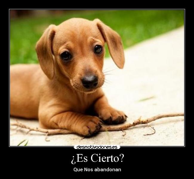 ¿Es Cierto? - Que Nos abandonan
