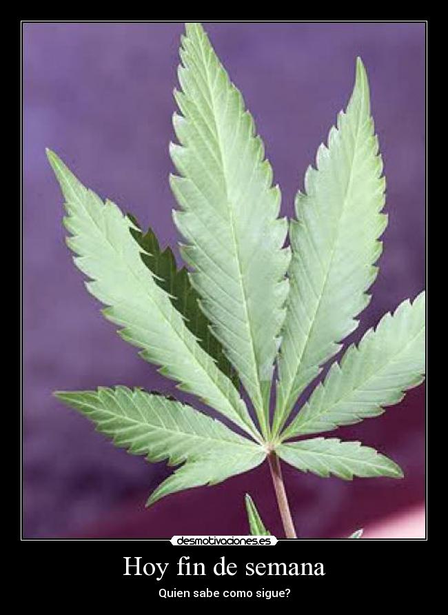 Hoy fin de semana - Quien sabe como sigue?