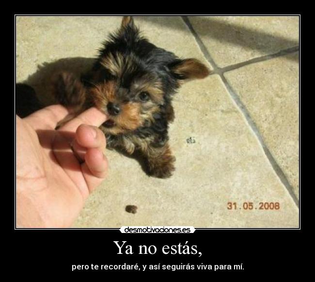 carteles carteles pagina desmotivaciones