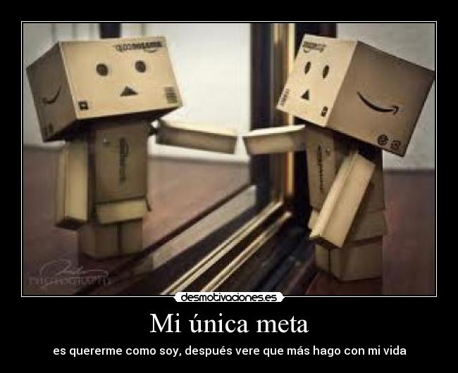 Mi única meta -