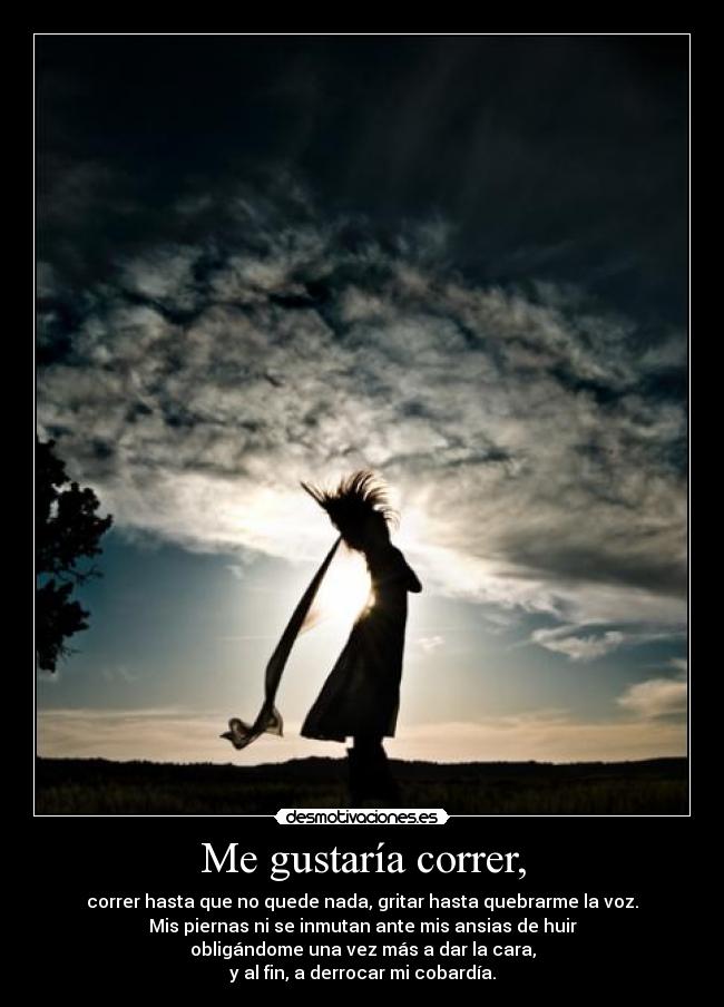 carteles silencios darme cuenta piccolo pam correr cobardia dar cara una vez desmotivaciones