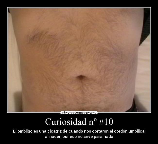 Curiosidad nº #10 -