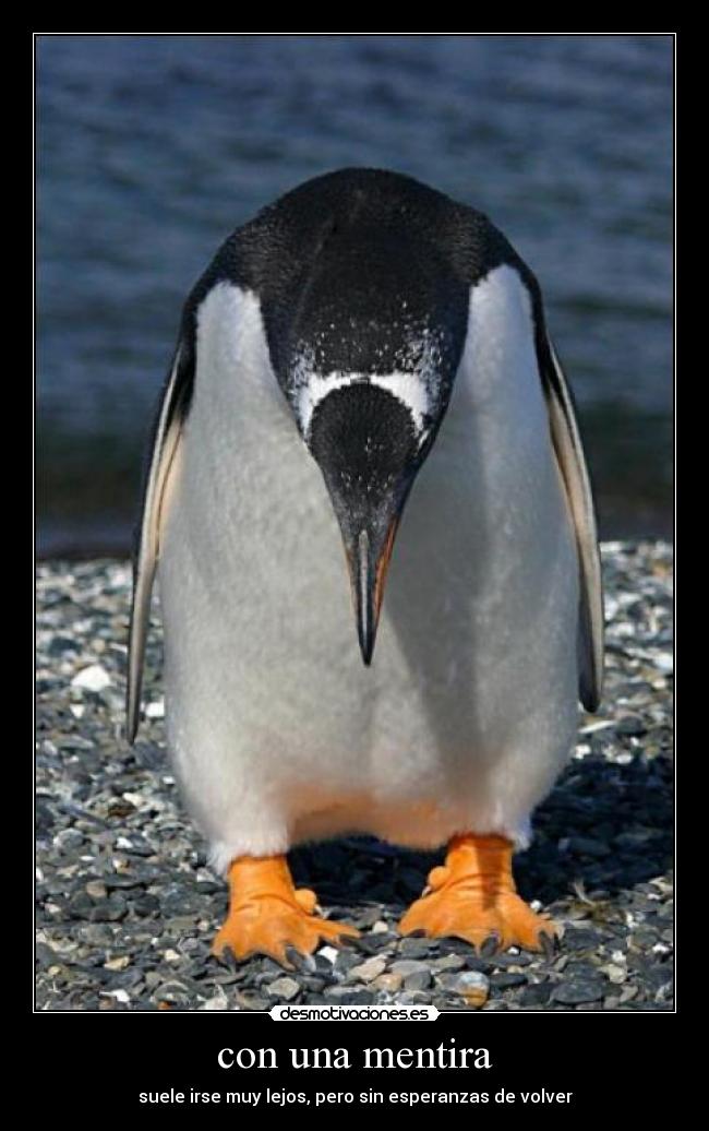 carteles mentira mentira lejos volver desmotivaciones