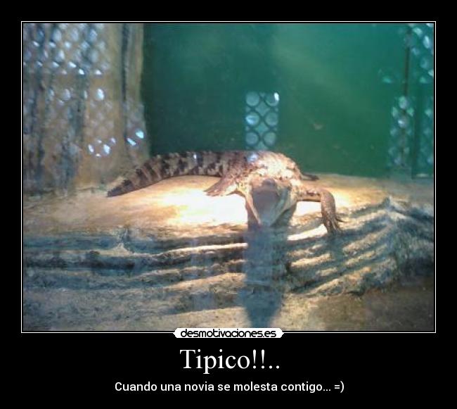 Tipico!!.. -