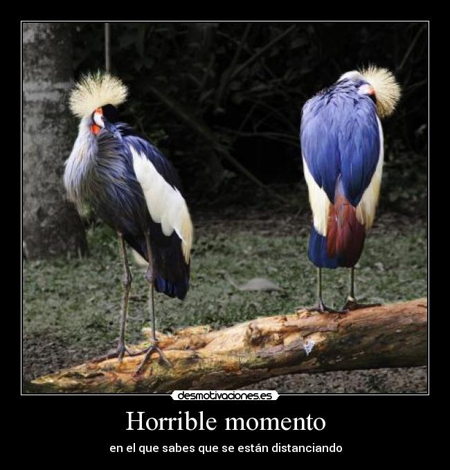 Horrible momento - 