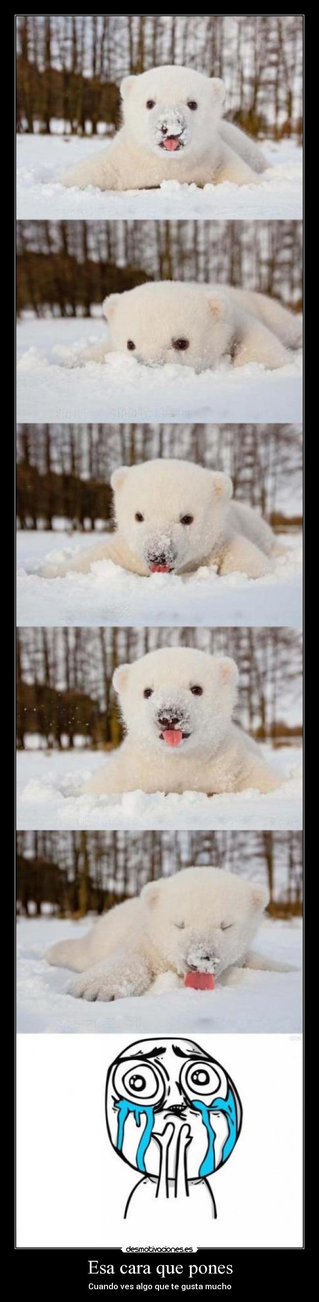 Esa cara que pones - 