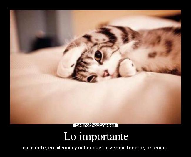 Lo importante -