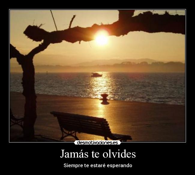 Jamás te olvides - Siempre te estaré esperando