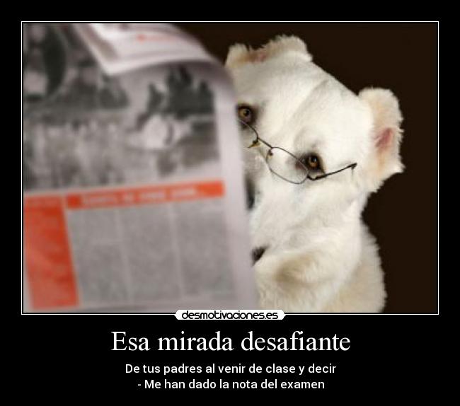 Esa mirada desafiante - 