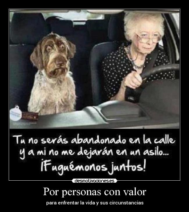 carteles personas desmotivaciones