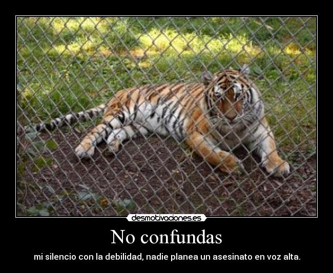 No confundas - 