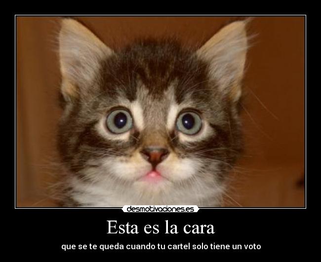 Esta es la cara - que se te queda cuando tu cartel solo tiene un voto