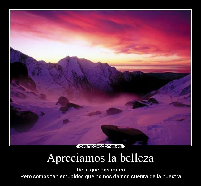 Apreciamos la belleza - 