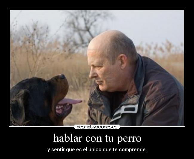 hablar con tu perro -