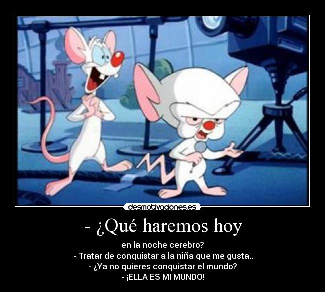 - ¿Qué haremos hoy - en la noche cerebro?
 - Tratar de conquistar a la niña que me gusta..
- ¿Ya no quieres conquistar el mundo?
- ¡ELLA ES MI MUNDO!