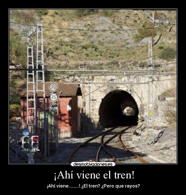 ¡Ahí viene el tren! -