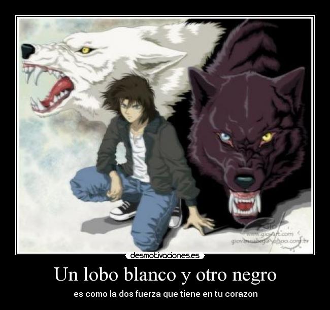 Un lobo blanco y otro negro -