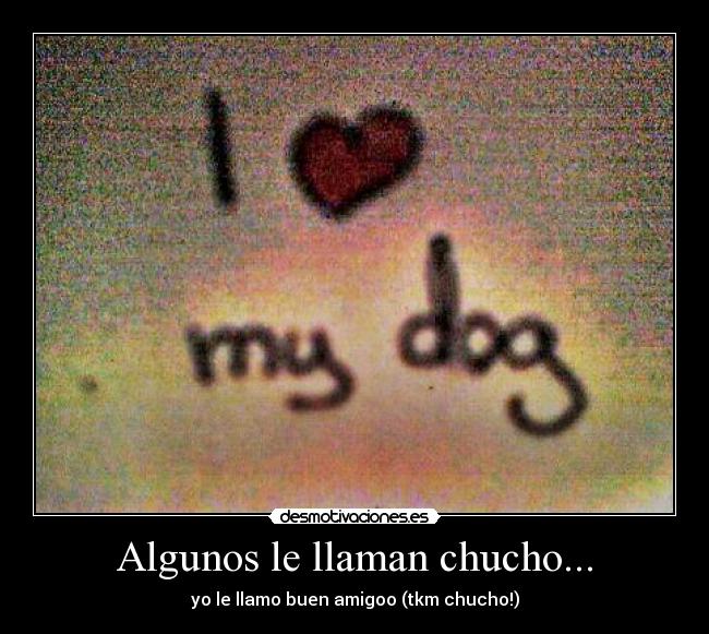 Algunos le llaman chucho... - yo le llamo buen amigoo (tkm chucho!)