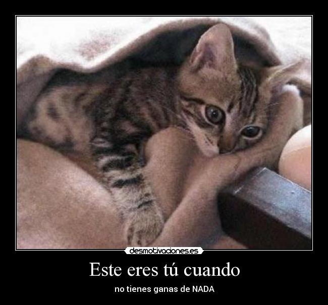 Este eres tú cuando -