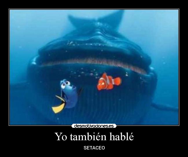 Yo también hablé - SETACEO