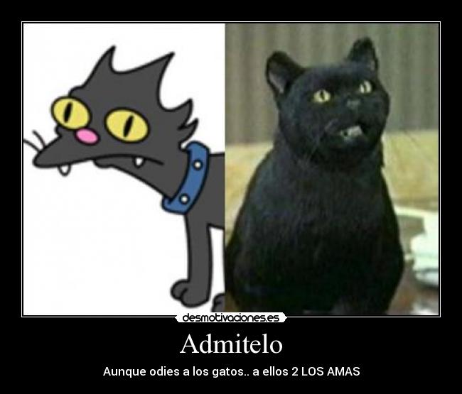 carteles gatos desmotivaciones