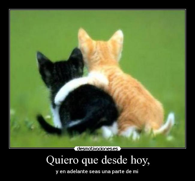 carteles quiero que desde hoy desmotivaciones