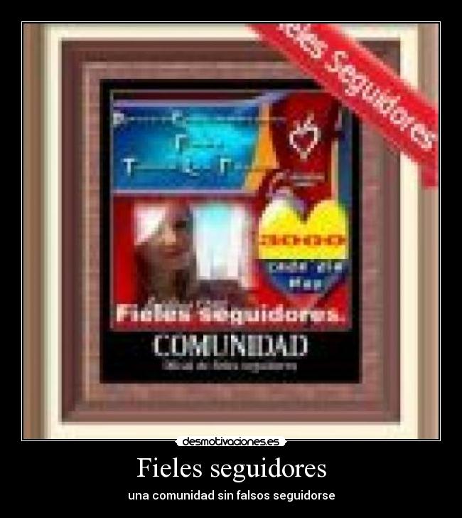 Fieles seguidores - una comunidad sin falsos seguidorse