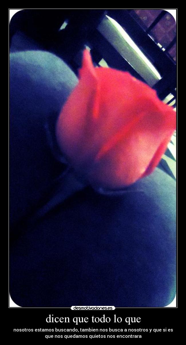 dicen que todo lo que - nosotros estamos buscando, tambien nos busca a nosotros y que si es
que nos quedamos quietos nos encontrara