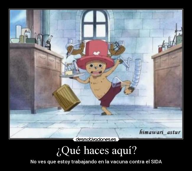 carteles chopper one piece desmotivaciones