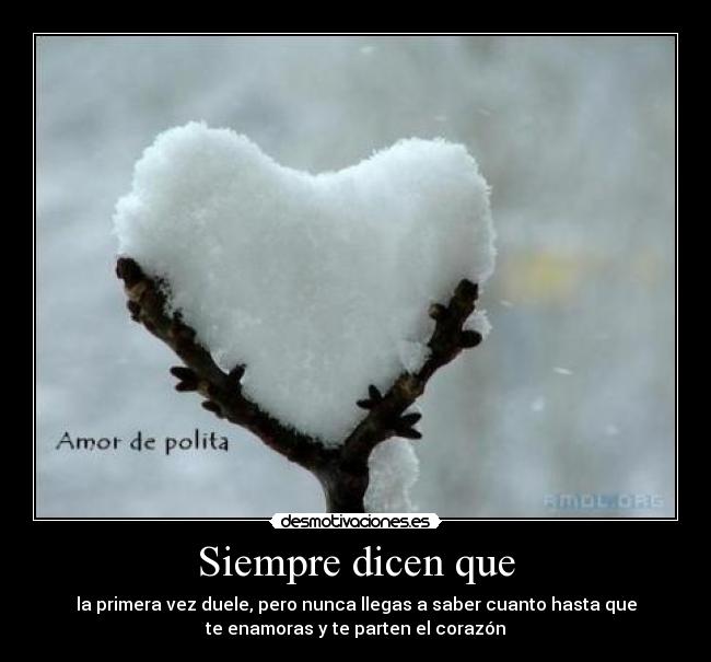 Siempre dicen que - la primera vez duele, pero nunca llegas a saber cuanto hasta que
te enamoras y te parten el corazón