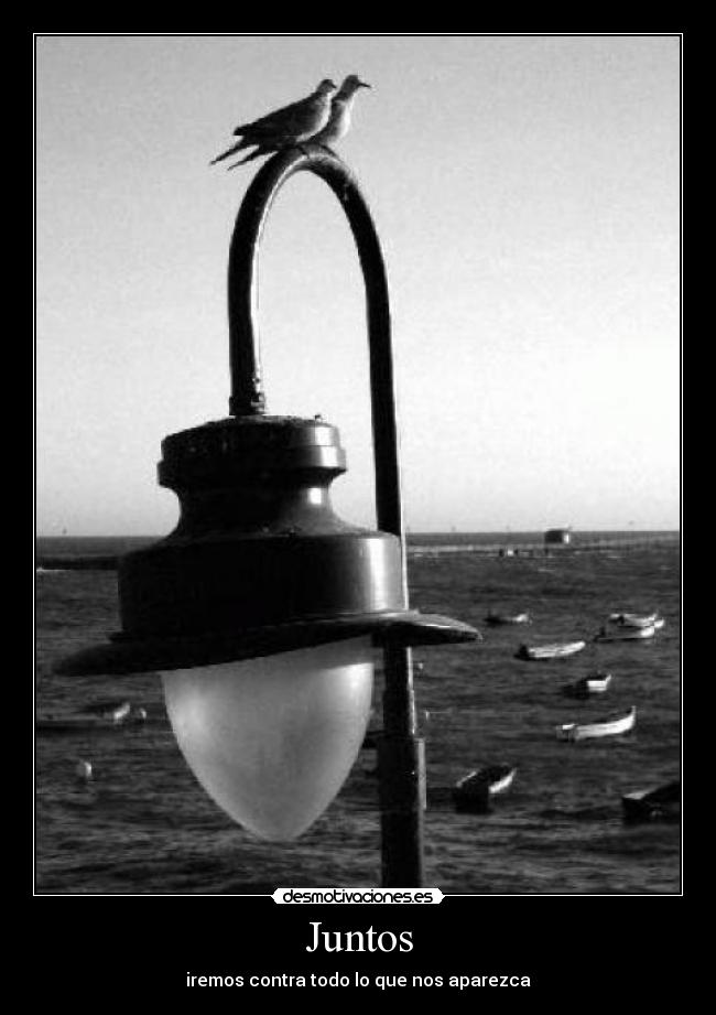 carteles amor desmotivaciones