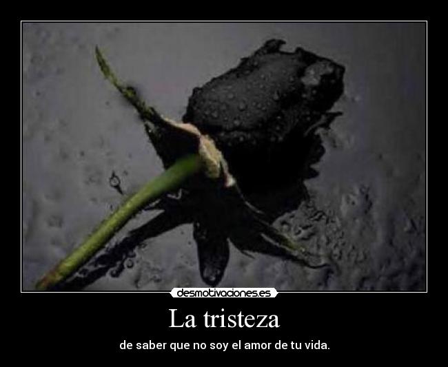 La tristeza - de saber que no soy el amor de tu vida.