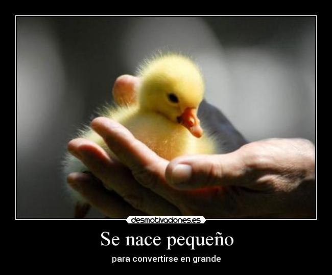 Se nace pequeño -