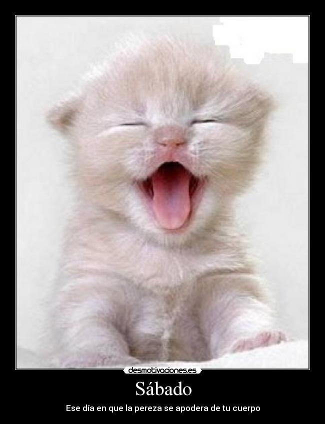 Sábado - Ese día en que la pereza se apodera de tu cuerpo