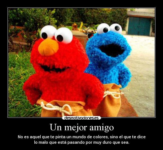Un mejor amigo - No es aquel que te pinta un mundo de colores, sino el que te dice
lo malo que está pasando por muy duro que sea.