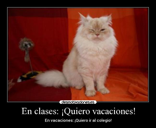 En clases: ¡Quiero vacaciones! - En vacaciones: ¡Quiero ir al colegio!